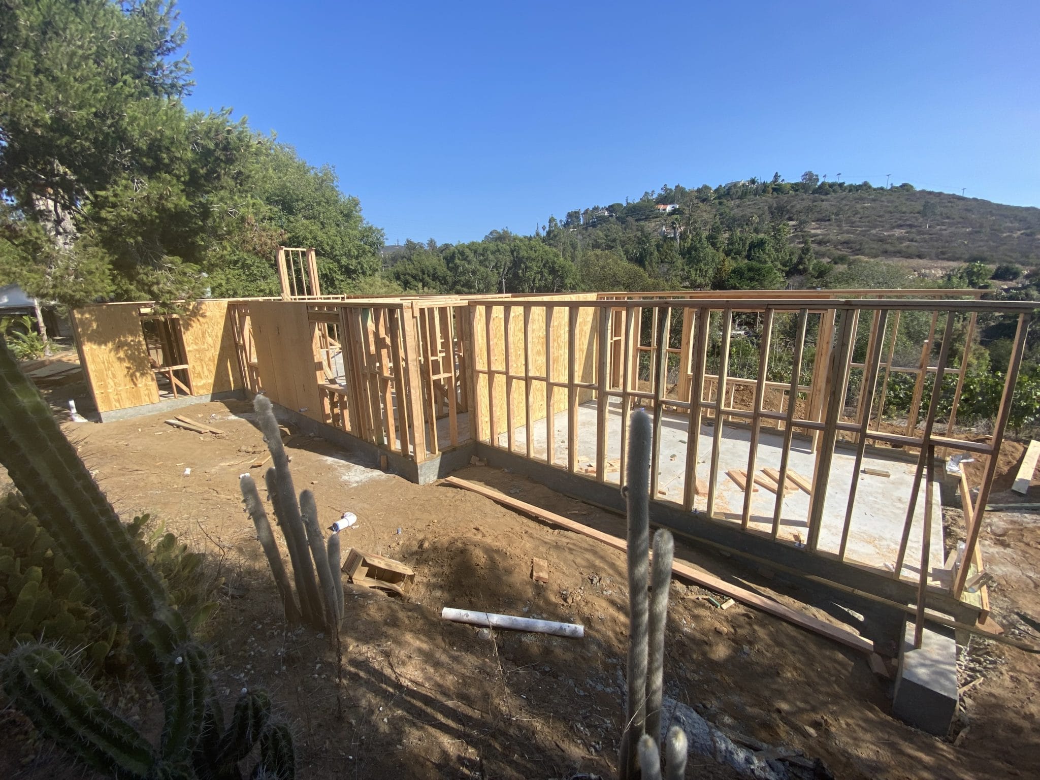 ADU-Large-Framing-San-Marcos-Sheathing